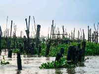 Exploring the Mekong Delta: A Peaceful Day in Cai Be Village