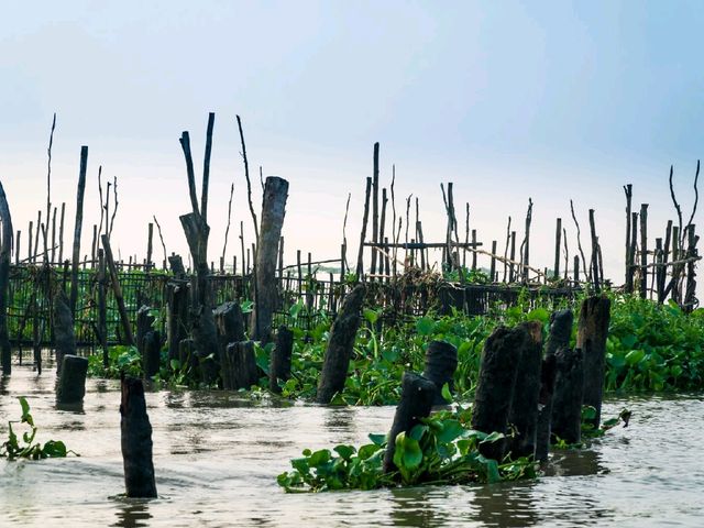 Exploring the Mekong Delta: A Peaceful Day in Cai Be Village