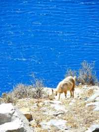🏝️ Amorgos – Aegean Serenity Wrapped in Blue