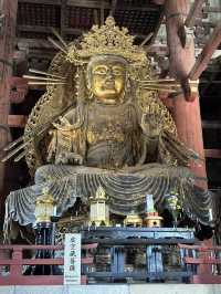 Step into Spiritual Grandeur at Nara’s Todaiji!