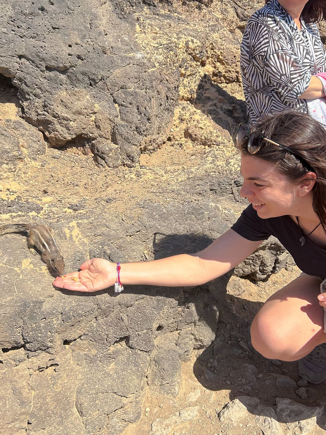 Fuerteventura is the ultimate nature dream! 🇮🇨 Fuerteventura is the ultimate nature dream! 🇮🇨