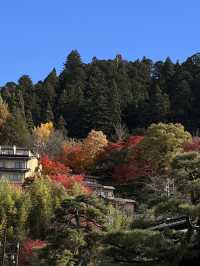 Nagoya to Takayama & Shirakawa-go 🏯🌿Day dream trip