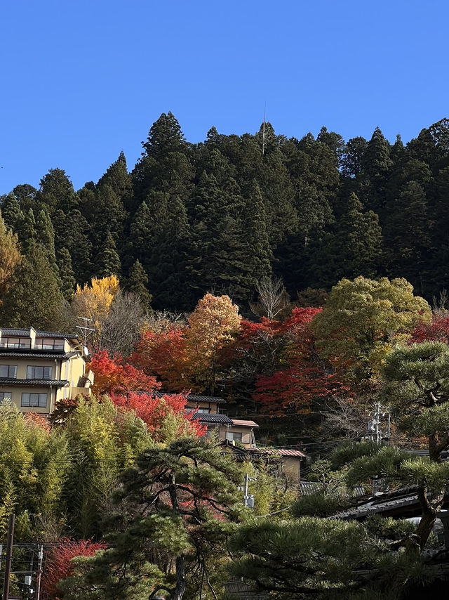 Nagoya to Takayama & Shirakawa-go 🏯🌿Day dream trip