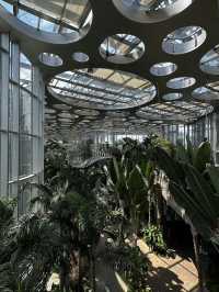 Shanghai Greenhouse Garden 🌿✨
