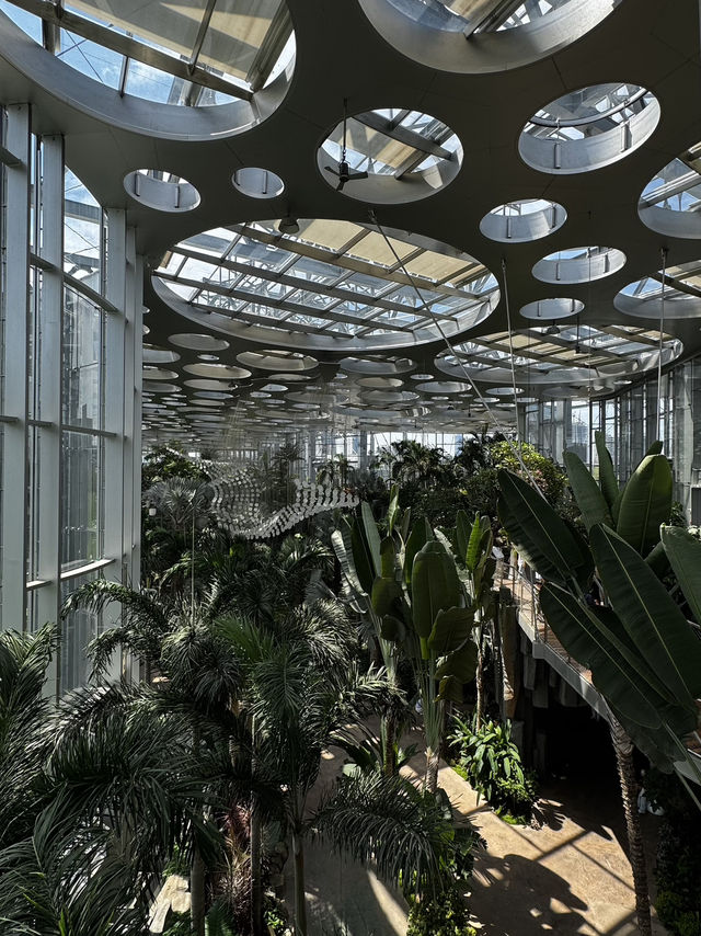 Shanghai Greenhouse Garden 🌿✨