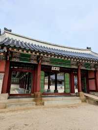 Seoul in Autumn: A Kaleidoscope of Colors 🇰🇷  