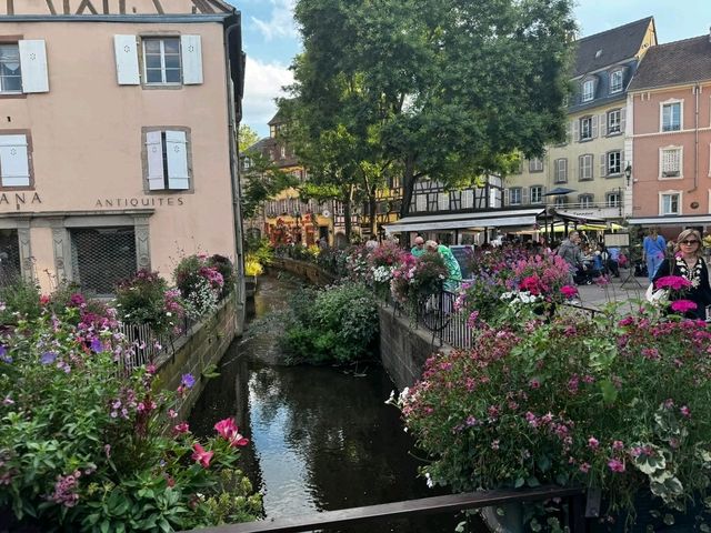 Old Town Sights ✨ Old Town Sights ✨