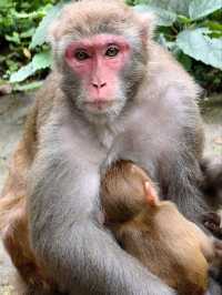 По следам Аватара: 4 дня в Китае