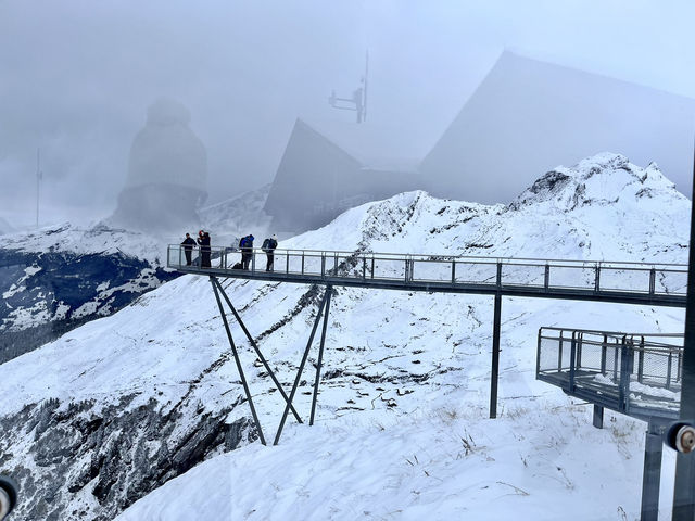 Switzerland! Switzerland!