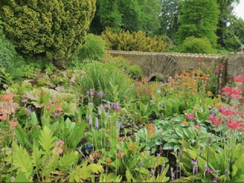 RHS Garden Harlow Carr