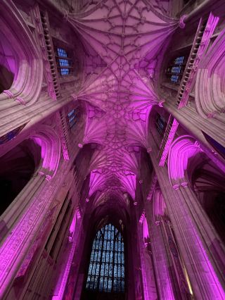 Winchester Cathedral: enjoy the full grandeur of the architecture and the music