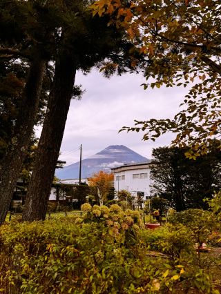 山梨の魅力を解き放つ：至高の味覚とアルプスの絶景。
