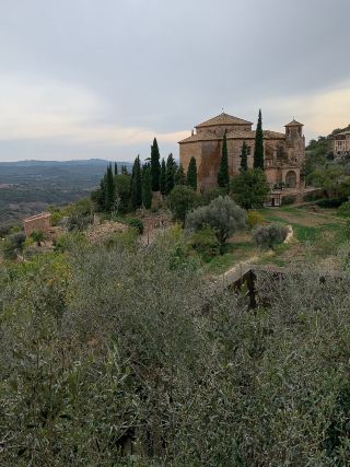 Alquézar — The Spanish Village Where Red Canyons Meet Medieval Stone and Vultures Circle Above