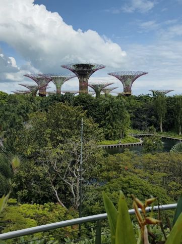 Free Singapore: Top Things to See and Do