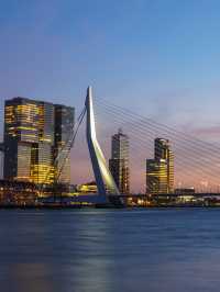 Swan | Erasmus Bridge