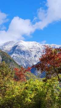 文縣天池秋季萬山紅遍