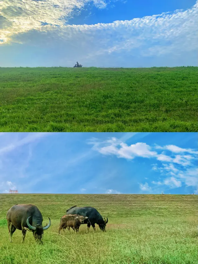 광동인들 자신의 대초원 광저우에서 차로 한 시간 거리입니다