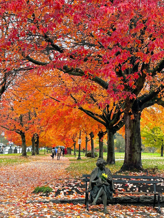 溫哥華史丹利公園攻略，教你玩出不一樣的風景