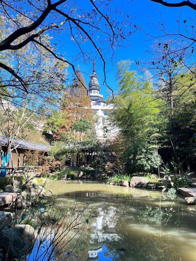 杭州尋秋——徑山寺的寧靜與靈性之旅