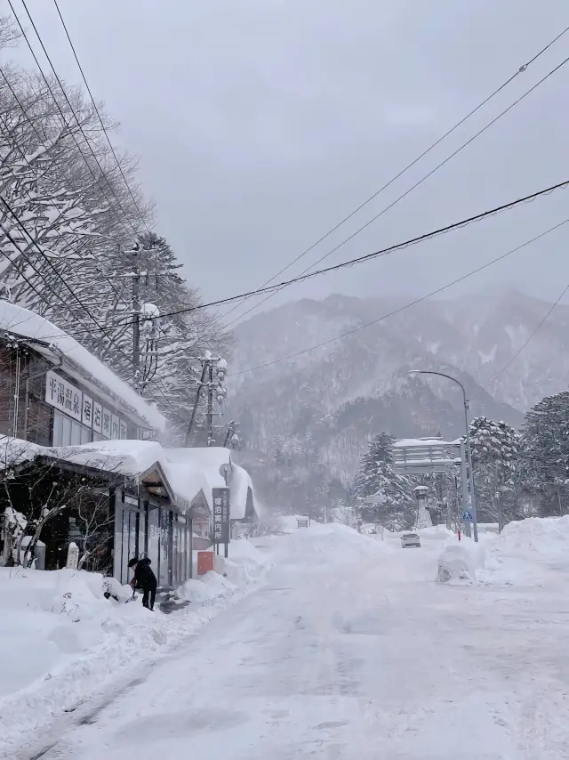 日本北海道|雪の国の夢