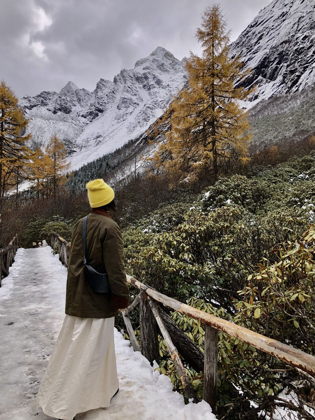 川西旅行｜錯過又要等一年的彩林