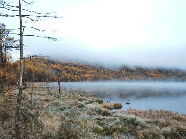 我在烏蘇浪子湖看晨霧，美呆了