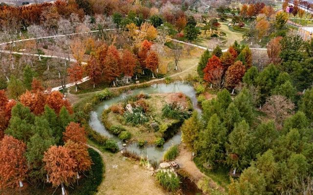 合肥駱崗公園四天旅遊攻略