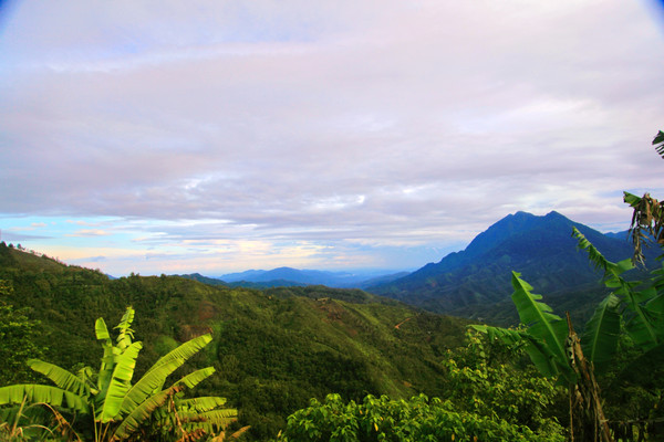 Follow my footsteps: Malaysia (Eight) | Trip.com Ranau