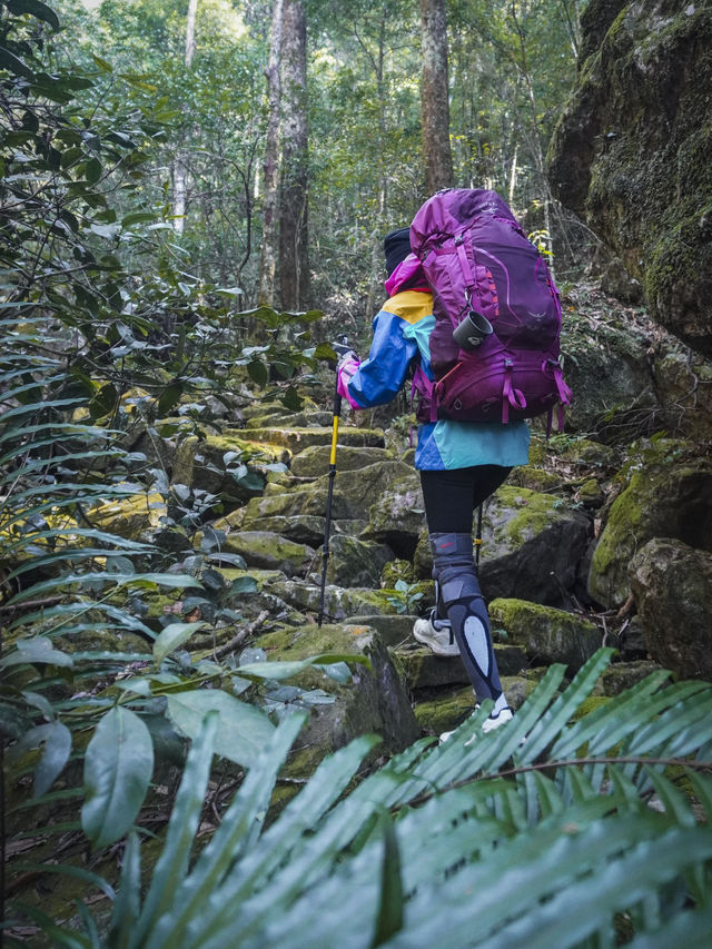 年度盤點推薦大家去的山峰 | 廣西金秀五指山