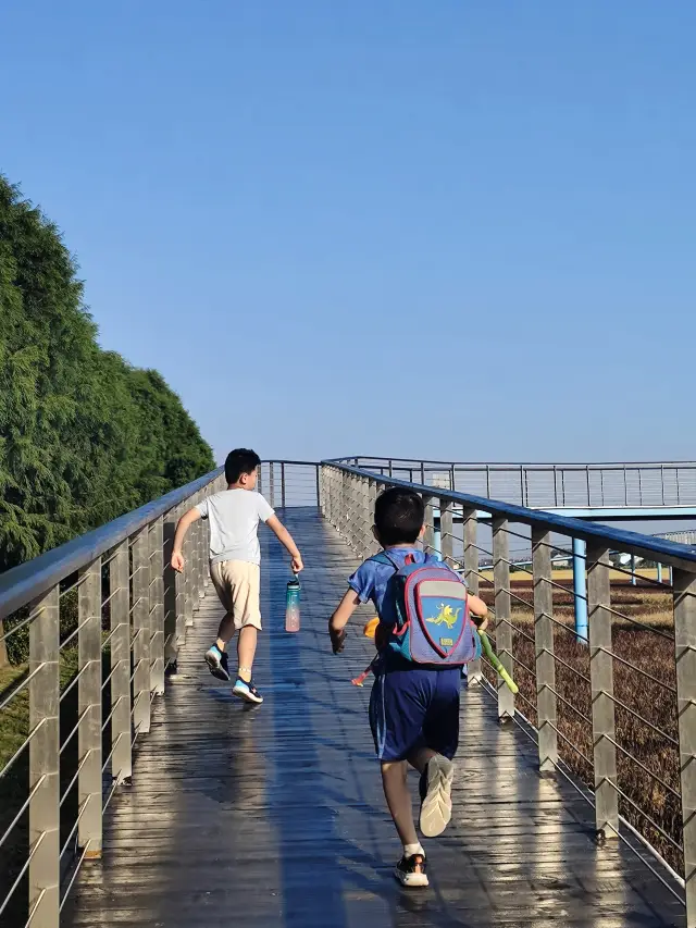 Hengsha Island Art Pastoral—Free tour of the empty rice field flower sea