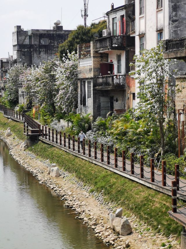 木樑古風惠愛橋