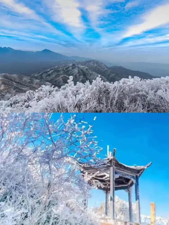 【Exploring the Mysterious South China】Jinzi Mountain, a winter wonderland in Qingyuan