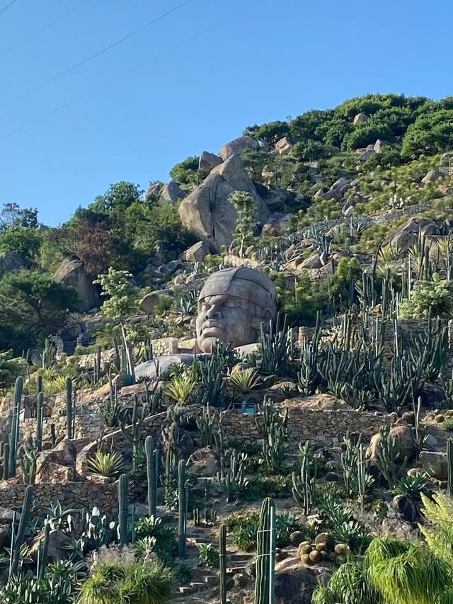 福建石岩植物園復活島的搬到國內了