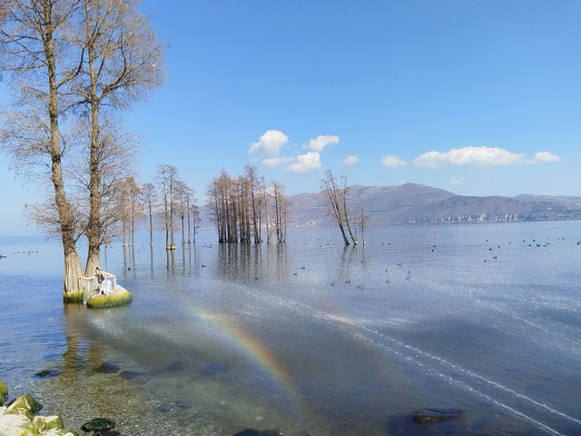 背包客貴陽雲南四日遊