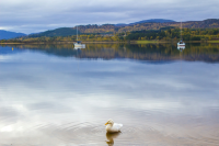 Explore the majestic Cairngorms National Park