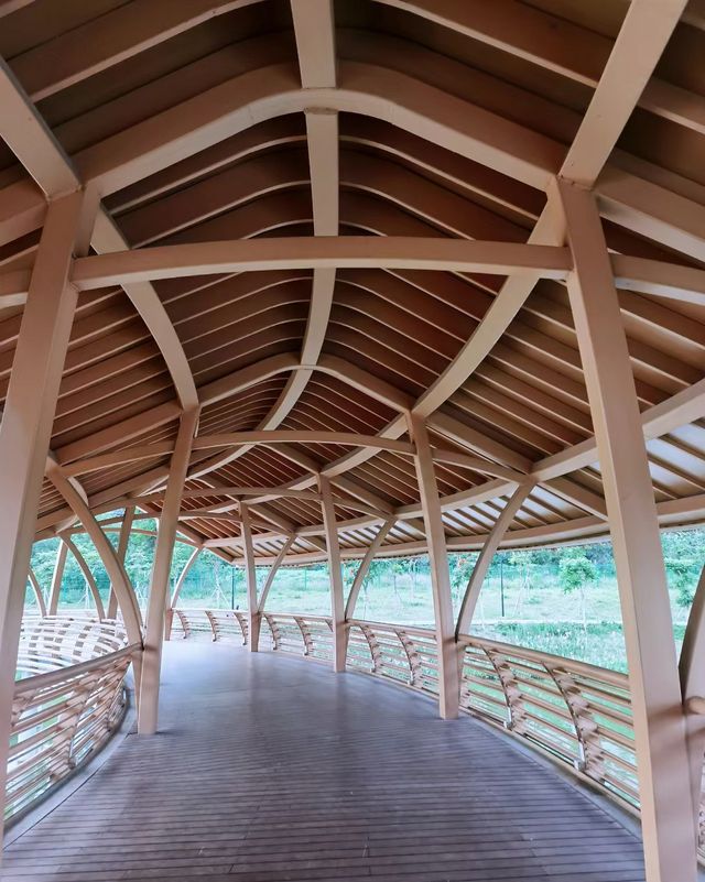 身邊的風景，集“萬千功能於一體”的市級公園！！