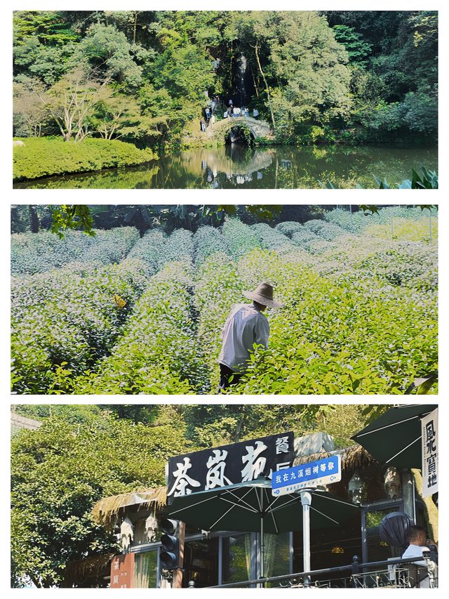 杭州｜超推薦初秋徒步首選：香香的滿覺陇