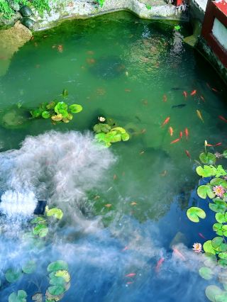 Pure Land in the Mountains - Congbai Nunnery in Linyi