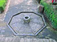 向塔而行,上海的山,上海的斜塔!