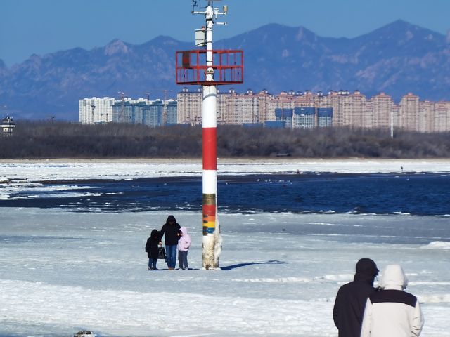 整個海都凍住了！