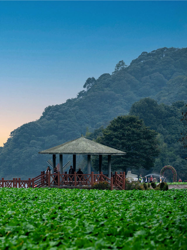 你在說不知道去哪個公園嗎？推薦你去廣州石門國家森林公園