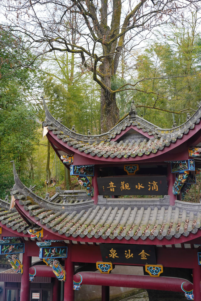 九華山｜不費媽親子祈福爬山一日遊攻略