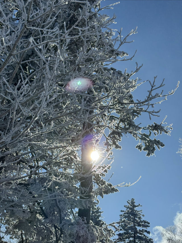 來北大湖絲滑滑雪你需要知道！