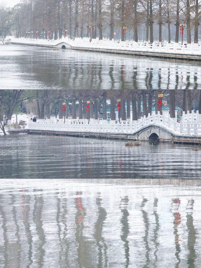 看看下雪天的東湖 /碧潭觀雪