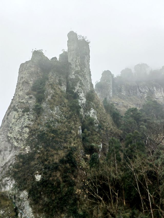 雲霧繚繞北雁蕩   仙俠意趣撲面來