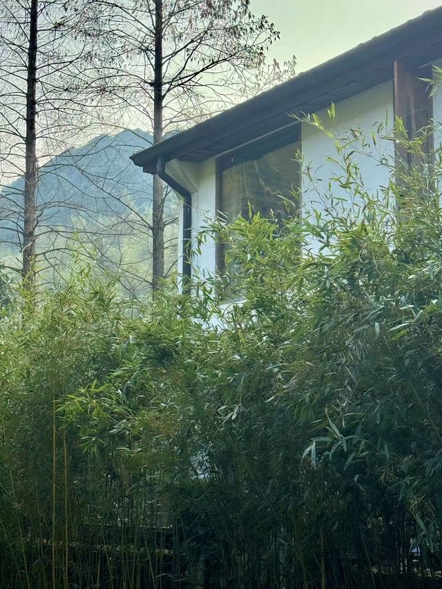 蘇州周邊遊攻略-莫干山| i人避世放空好去處