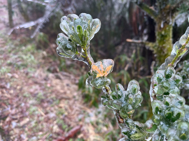 仙氣飄飄山裡行，葛仙山的兩幅容顏！