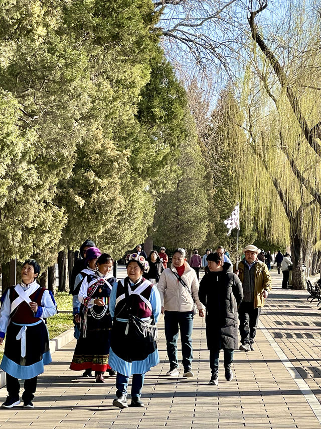 Citywalk 北海公園春色