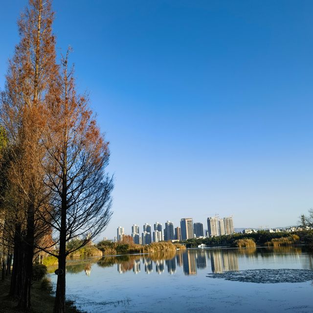 雲南旅遊不只有大理、麗江，到彌勒這個地方去感受椰風海韻