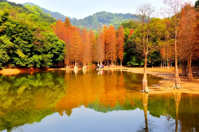 Guangzhou‖Guangzhou's "Little Jiuzhaigou", a holy land for photographers, the "Huangpodong Reservoir"